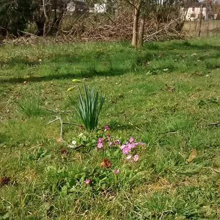 Maison Chourrist Feriehus Capbis