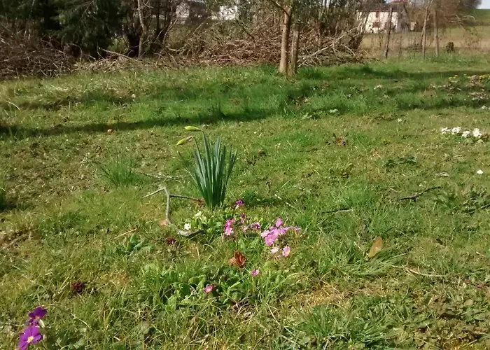 Maison Chourrist Σπίτι διακοπών Capbis